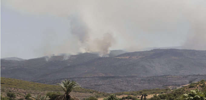 Province de Tétouan : 220 hectares ravagés par l'incendie déclaré à la forêt de Beni Ider
