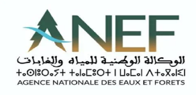 Roi Mohammed VI : Mobiliser les ressources, un impératif pour le ...