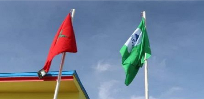 Éco-écoles : 131 établissements primés dans la région de Rabat-Salé-Kénitra