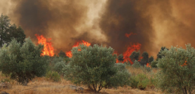 L'Espagne renouvelle son engagement envers le Maroc dans la lutte contre les incendies