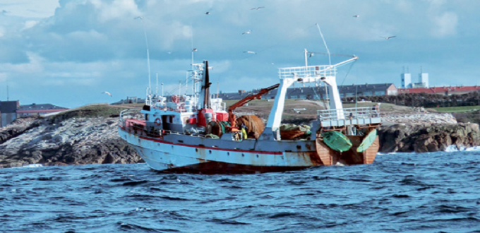 Pêche côtière et artisanale : recul des volumes, hausse des revenus en Méditerranée