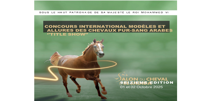 El Jadida accueille le "Title Show" des Pur-Sang Arabes pour la 16e édition du Salon du Cheval