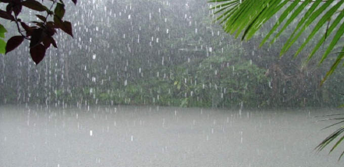 Maroc : une pluviométrie en forte hausse favorable à la campagne agricole